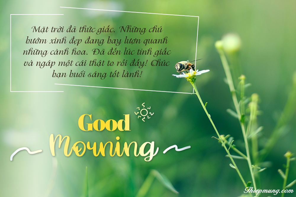 Ảnh chúc ngày mới