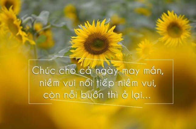 Bạn bè buổi sáng