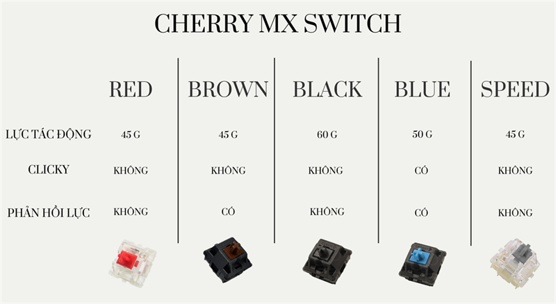 Các loại Switch khác nhau