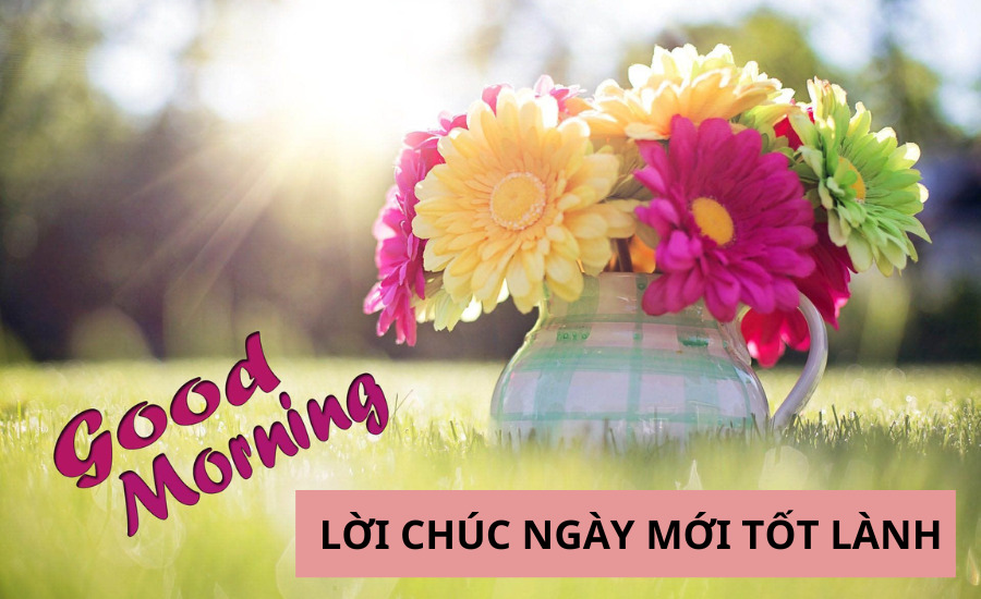 Học chúc buổi sáng