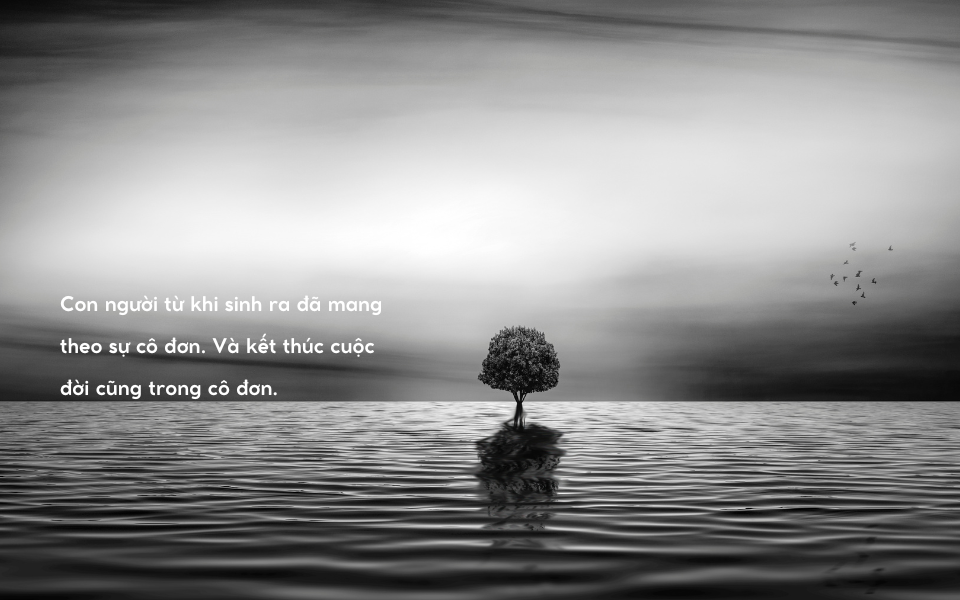 Lạc lõng giữa đời