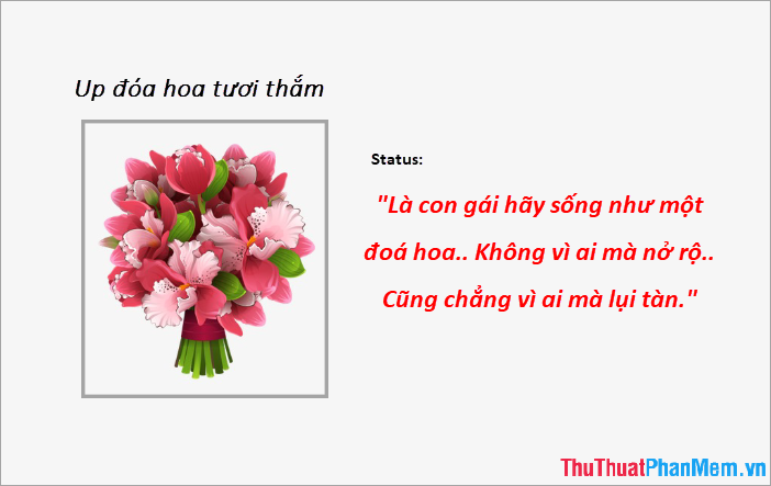 STT cho mọi khoảnh khắc