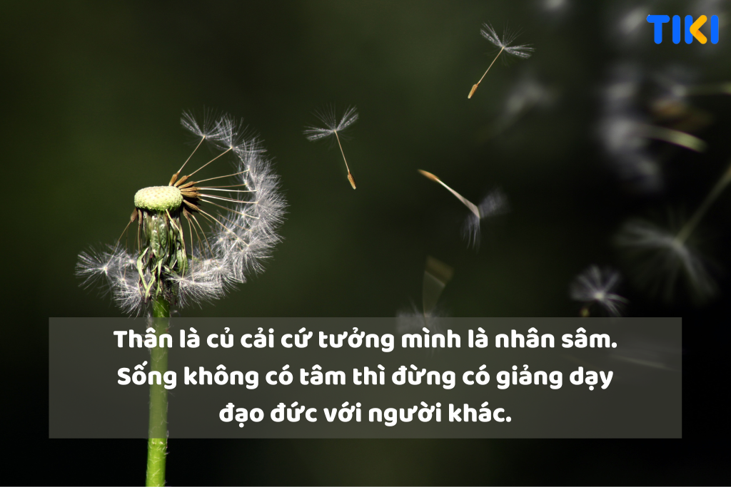 STT cuộc sống ý nghĩa