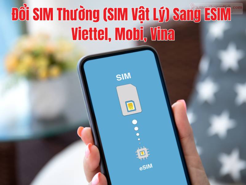 Thay SIM vật lý