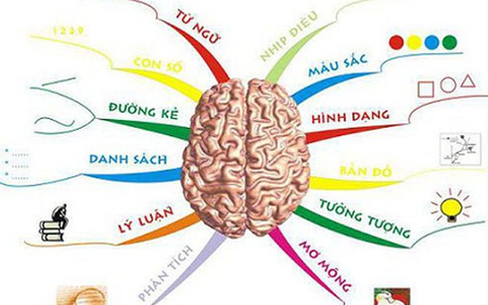 Bộ não được kích hoạt