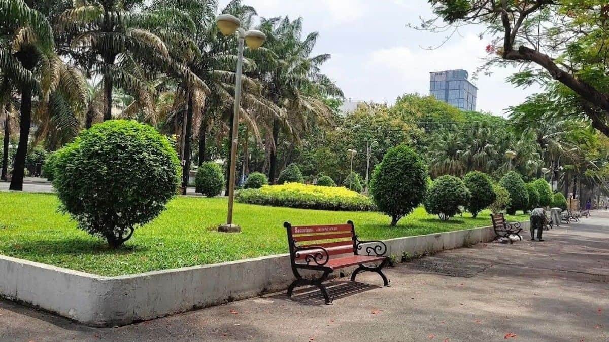 Công viên Bình Phú trước và sau