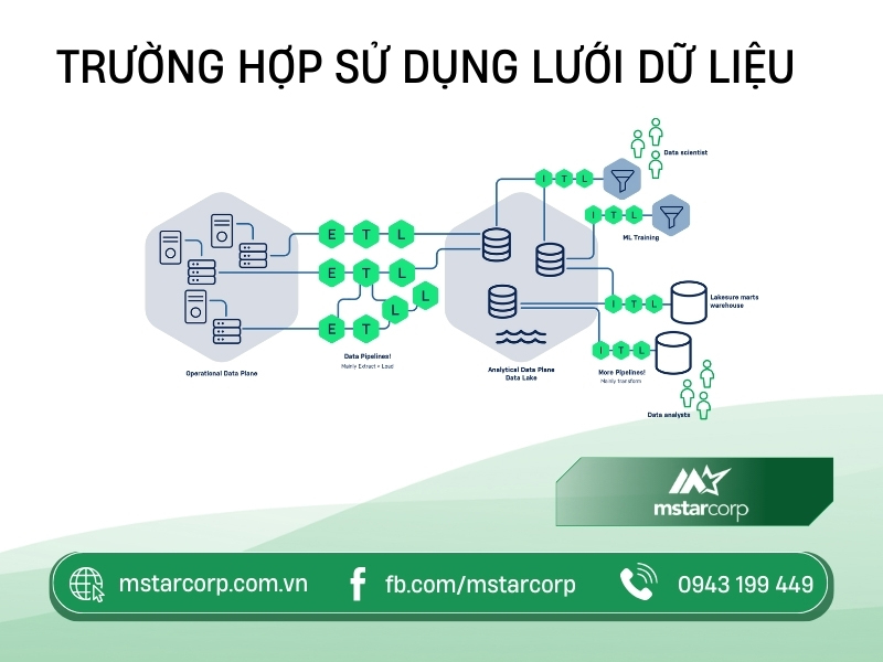 Mô hình mạng lưới dữ liệu