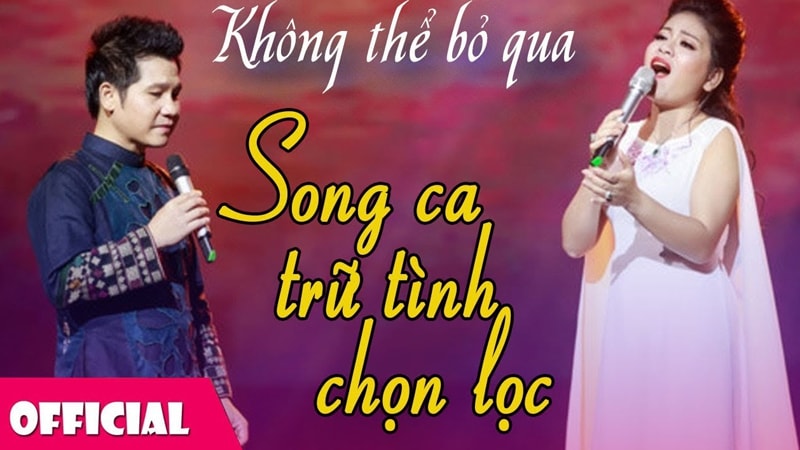 Song ca karaoke remix ăn ý