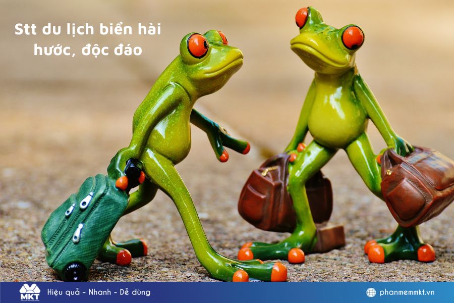 Meme hài hước về du lịch